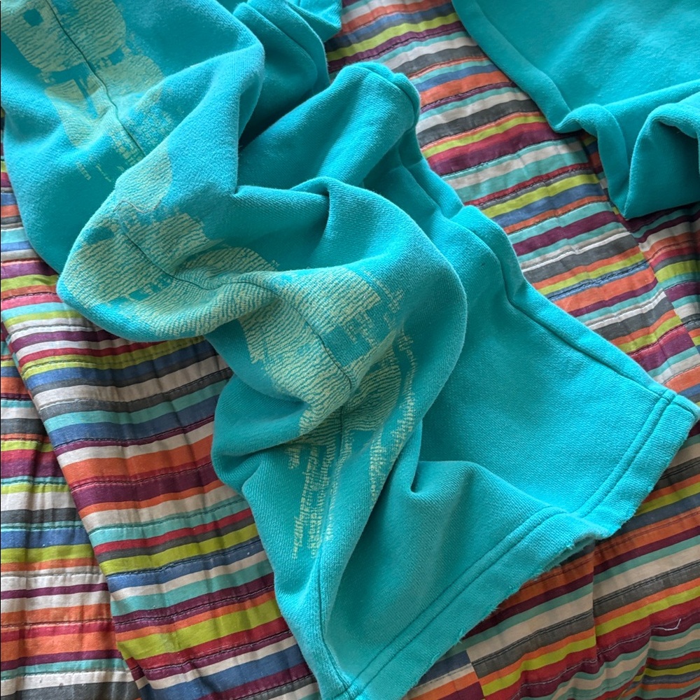 Crazy deals Triple  Sevens Teal Graphic Sweatpants size XL oversized nwt - Picture 6 of 11